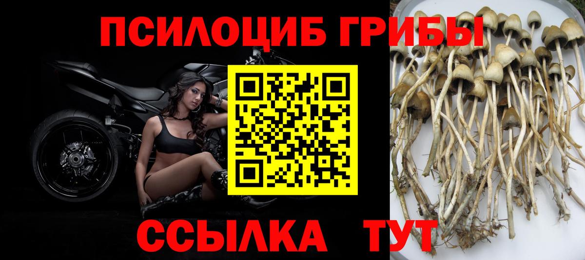 Советск  как найти закладки  Вход с VPN  Галлюциногенные грибы Magic Shrooms  Галлюциногенные грибы мицелий 
